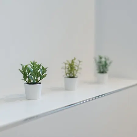 Fullhouse - - R11 - Marketplace * קמניץ